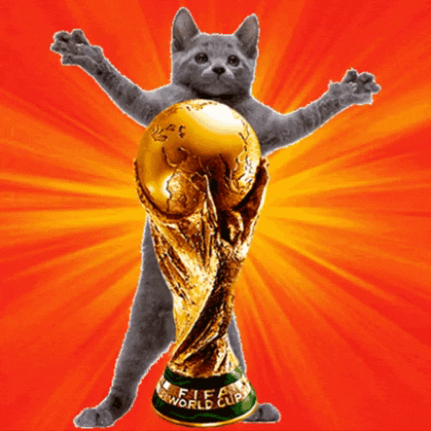 Adoriamo le GIF - Mondiali 2026